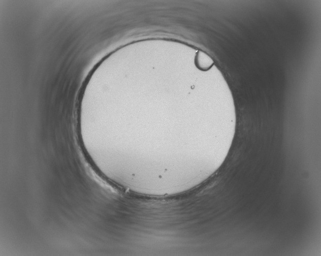 X0000076071518200610202001