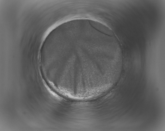 X0000076071519200610202001