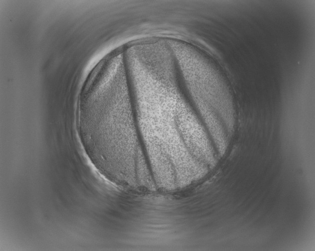 X0000076071520200610202001