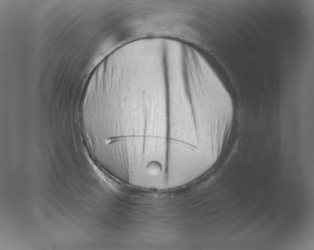 X0000076071521200610202001