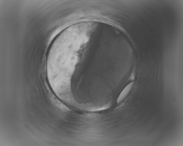 X0000076071522200610202001