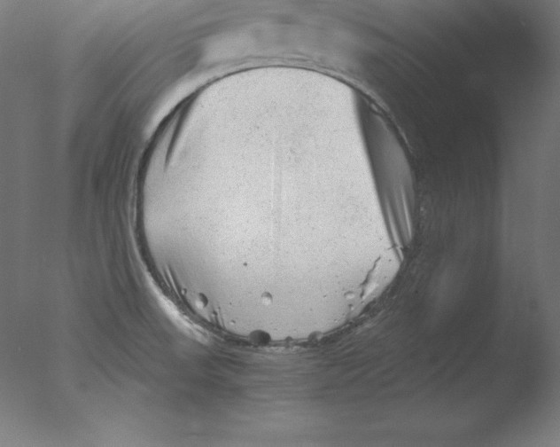 X0000076071523200610202001