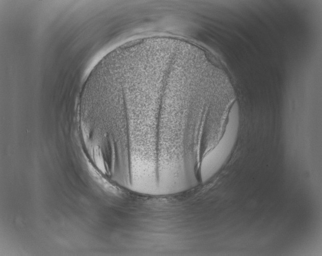 X0000076071524200610202001