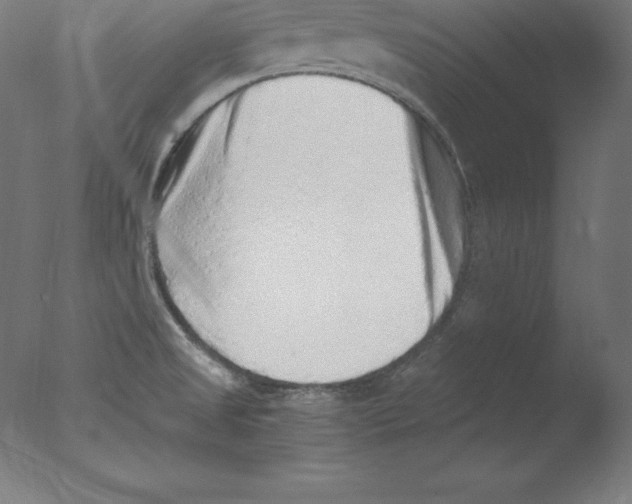 X0000076071525200610202001