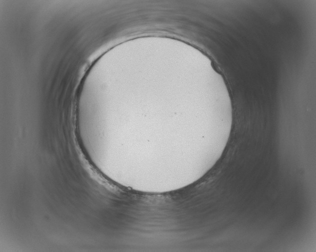 X0000076071526200610202001