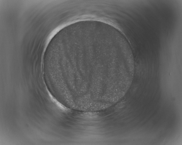 X0000076071527200610202001