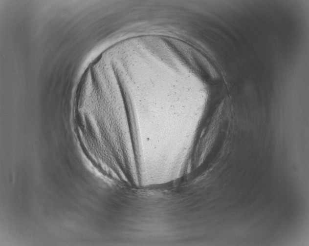 X0000076071528200610202001