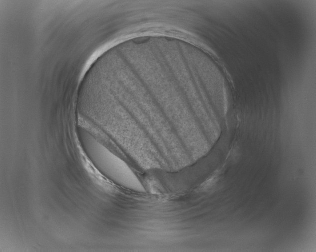 X0000076071530200610202001