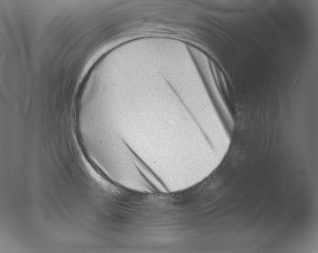 X0000076071531200610202001