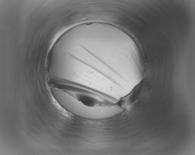 X0000076071532200610202001