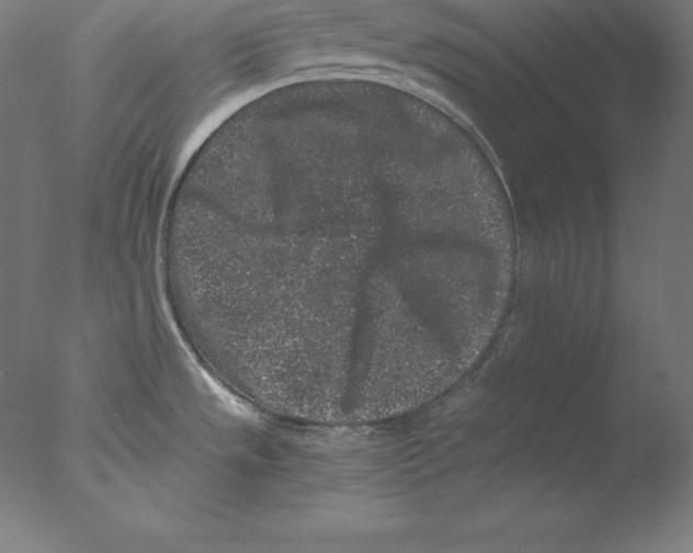 X0000076071533200610202001