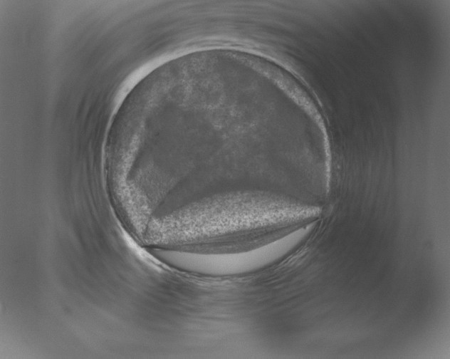 X0000076071535200610202001