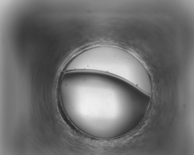 X0000076080007200609221031