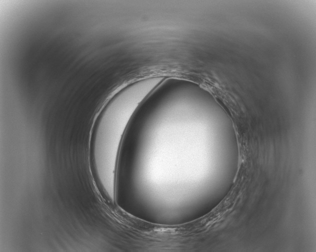 X0000076080052200609221030