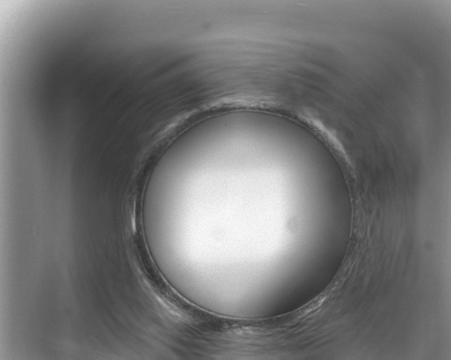 X0000076080062200609221030