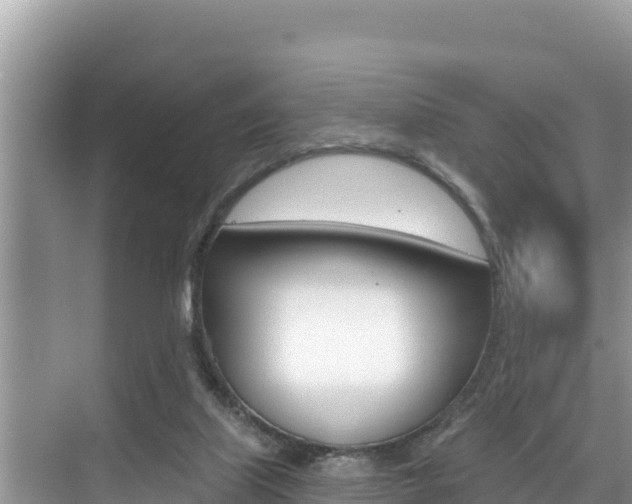 X0000076080067200609221030