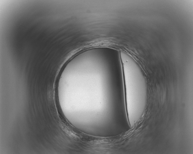 X0000076080100200609221030