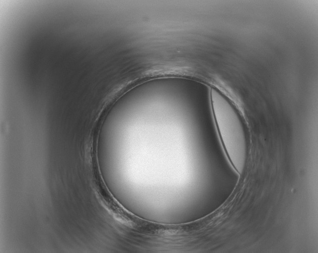 X0000076080107200609221030