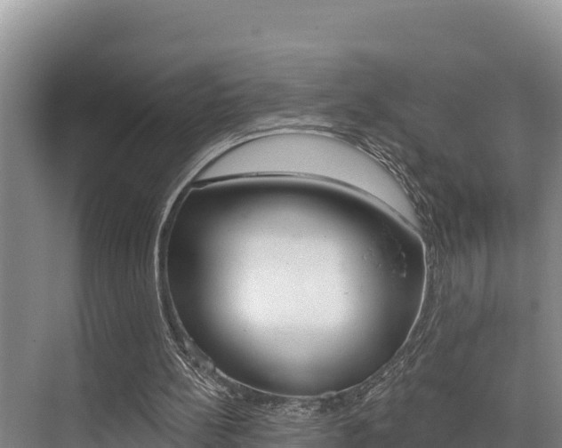 X0000076080148200609221028