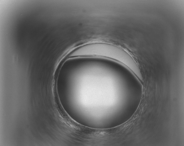 X0000076080152200609221028