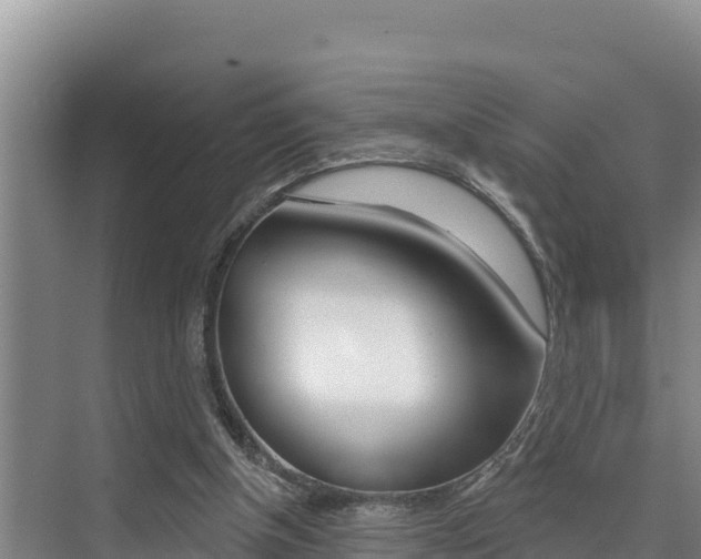X0000076080154200609221028