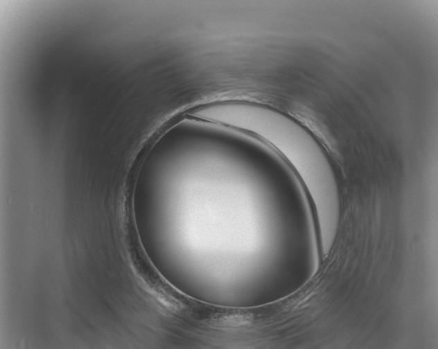 X0000076080156200609221028