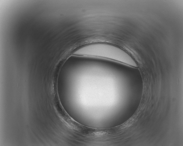 X0000076080158200609221028