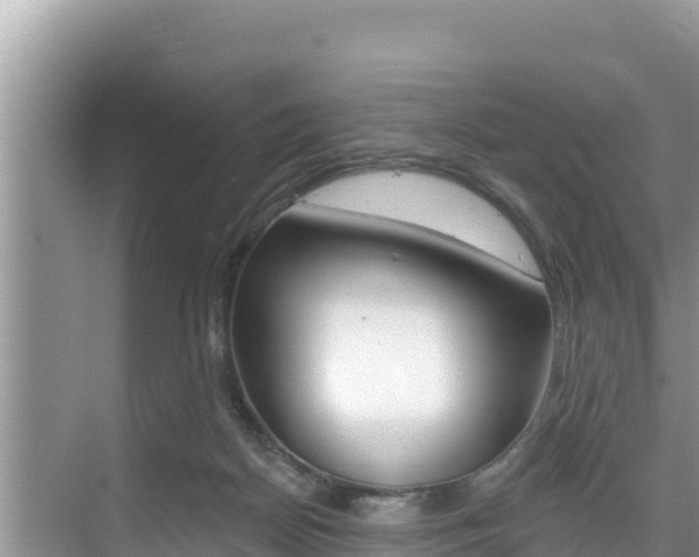 X0000076080170200609221028
