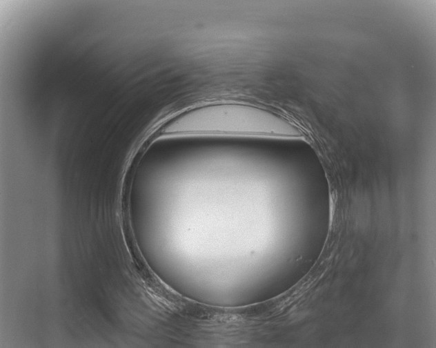 X0000076080195200609221028