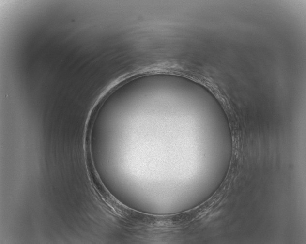 X0000076080196200609221028