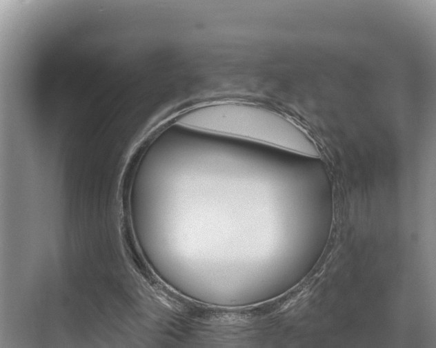 X0000076080198200609221028