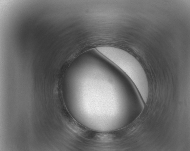 X0000076080221200609221028