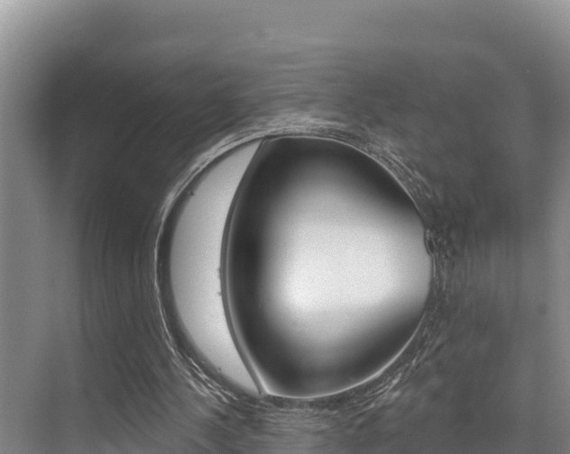 X0000076080244200609221026