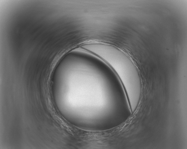 X0000076080289200609221026