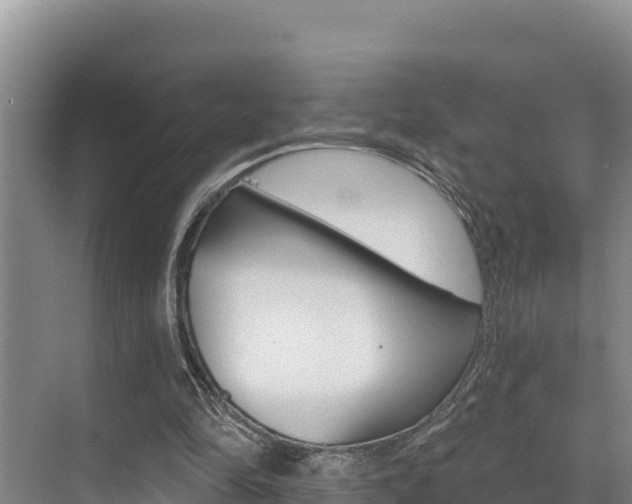 X0000076080294200609221026