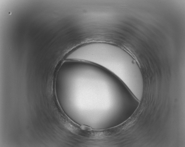 X0000076080301200609221026