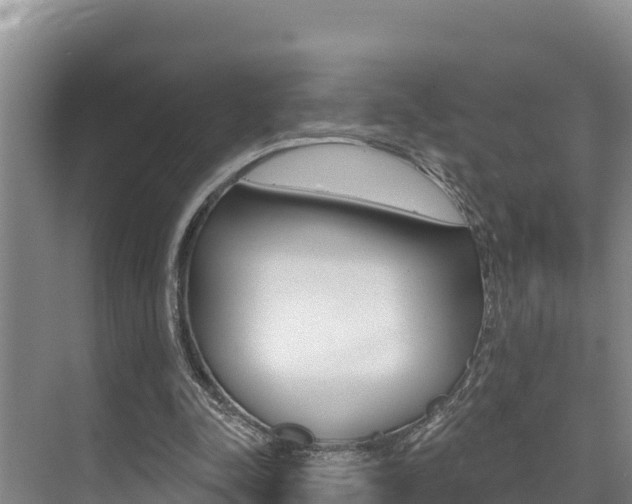 X0000076080342200609221025