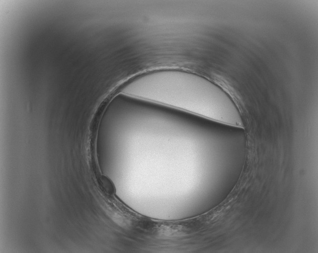 X0000076080346200609221025