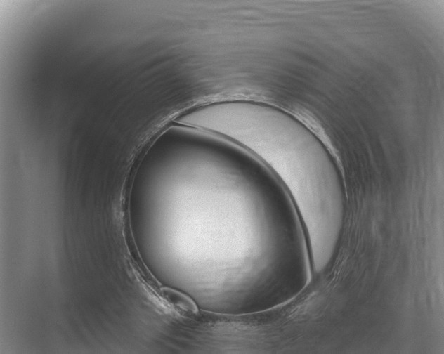 X0000076080389200609221025