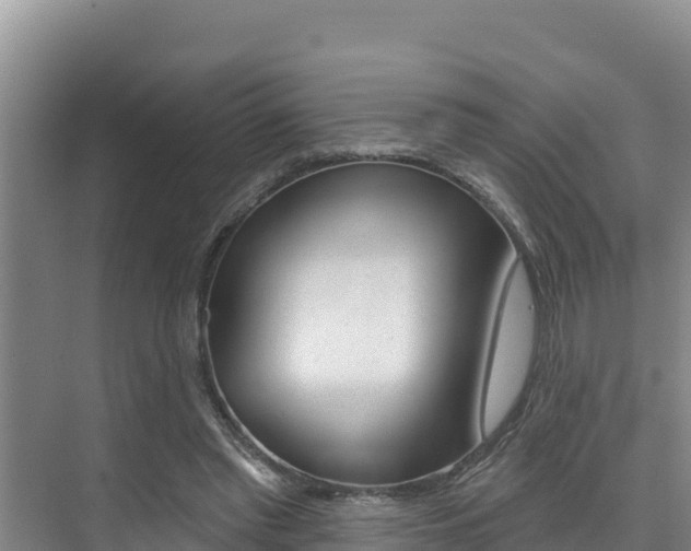 X0000076080397200609221025