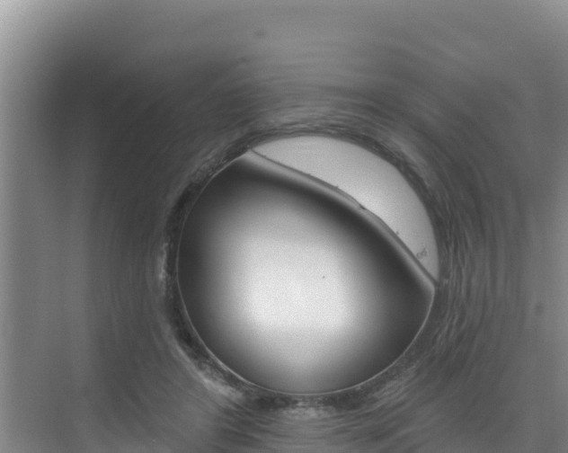 X0000076080404200609221024