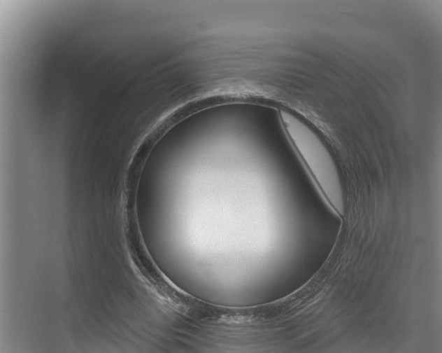 X0000076080440200609221023