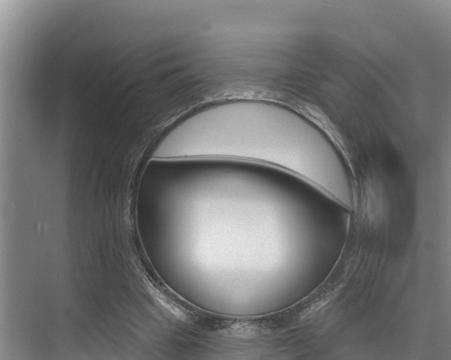 X0000076080441200609221023