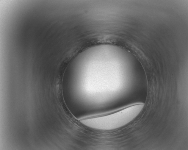 X0000076080513200609221023