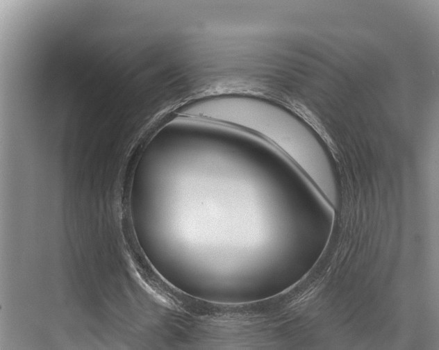X0000076080530200609221022