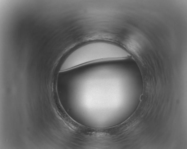 X0000076080539200609221022