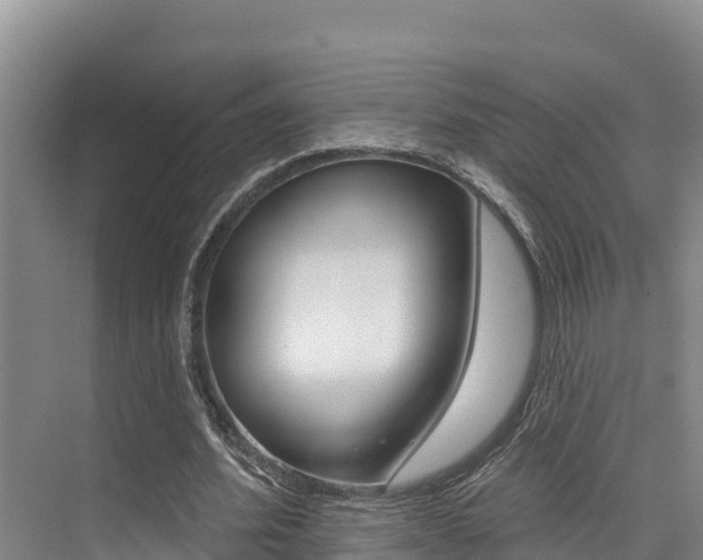 X0000076080580200609221021