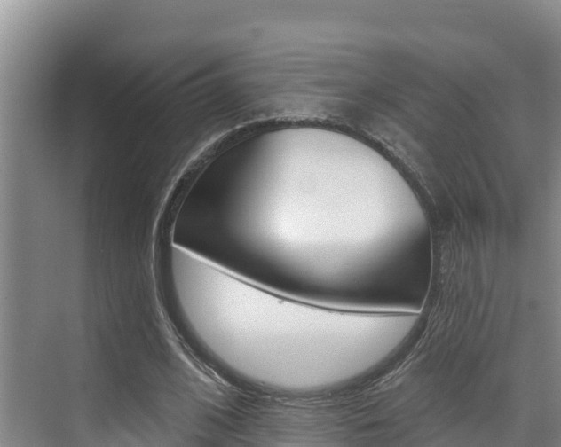 X0000076080584200609221021