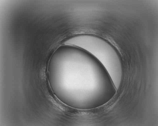 X0000076080585200609221021