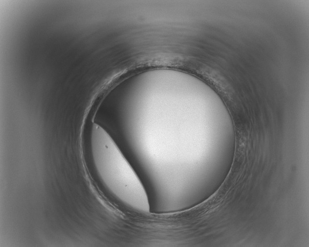 X0000076080678200609221020